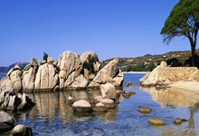 弗赖堡客场力克对手，胜利之夜闪耀德甲