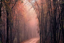 英超豪强对抗势均力敌，惊险战况