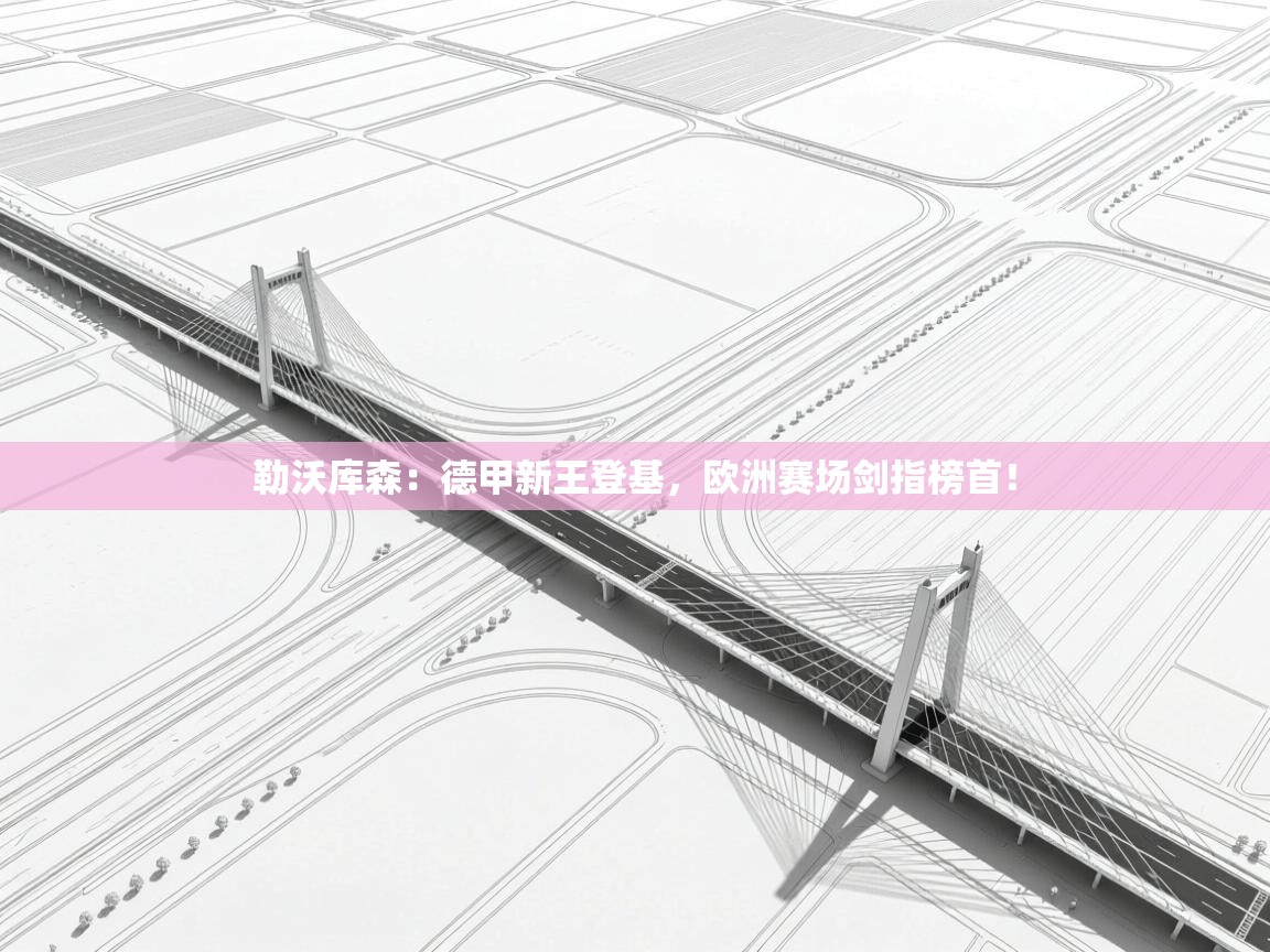 勒沃库森：德甲新王登基，欧洲赛场剑指榜首！  第1张