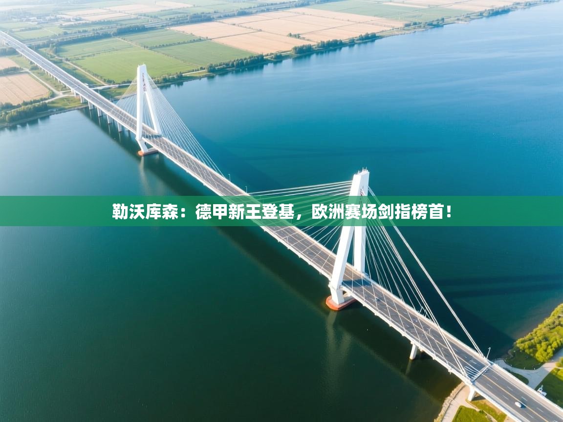 勒沃库森：德甲新王登基，欧洲赛场剑指榜首！  第2张